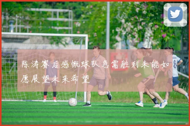 陈涛赛后感慨球队急需胜利未能如愿展望未来希望